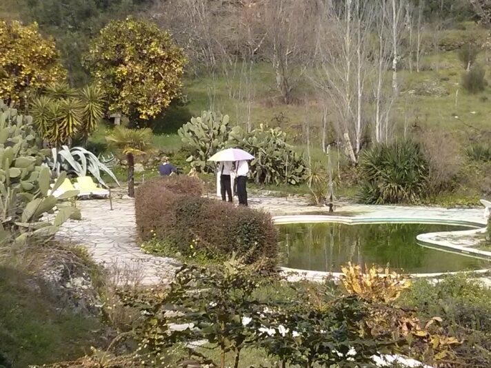 iwan&han Two people standing under a pink umbrella in a lush garden with a small pond. Surrounding the area are various plants, cacti, and a slide. The background features trees and a hillside.