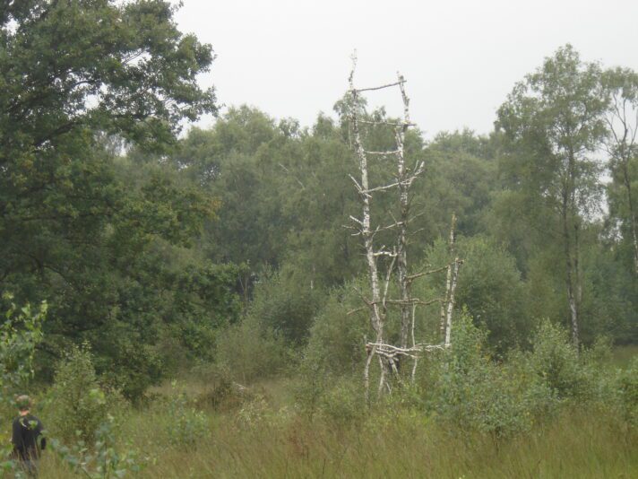 iwan&han Peel location