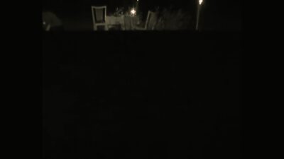 iwan&han Into the blood and the frogs_1