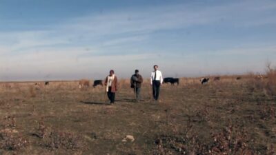 iwan&han shepherd and son