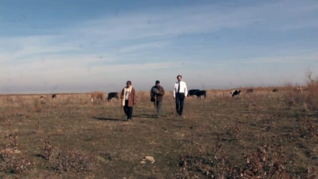 iwan&han shepherd and son