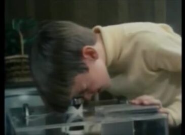 As they are presently