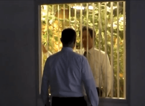 iwan&han daily routines at the office